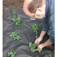 Read green gardener Reviews